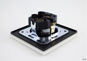 Furutech FP-SWS-D[G] Double Schuko Wallsocket per stuk [CLONE]